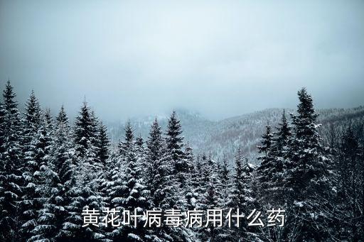  黃花葉病毒病用什么藥