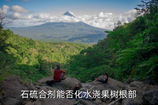 澆樹用什么農藥,有什么農藥可以把樹毒死