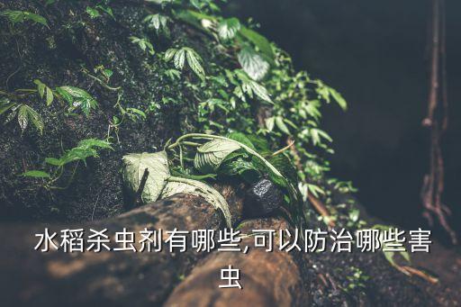  水稻殺蟲劑有哪些,可以防治哪些害蟲