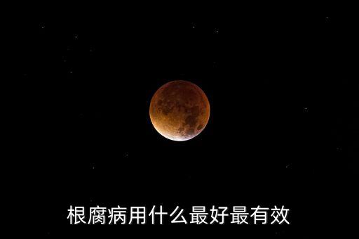 根腐病用什么最好最有效
