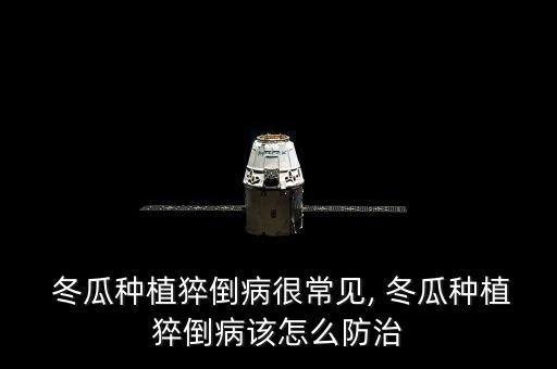  冬瓜種植猝倒病很常見, 冬瓜種植猝倒病該怎么防治