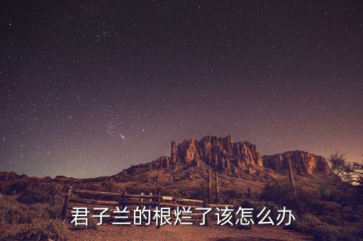君子蘭爛根能用什么農藥