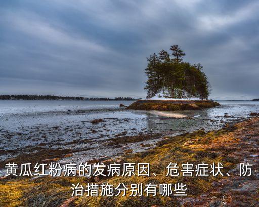 黃瓜紅粉病的發病原因、危害癥狀、防治措施分別有哪些