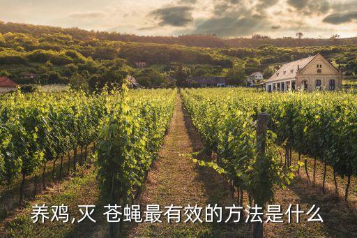 什么農藥滅蒼蠅好,什么方法滅蒼蠅最有效