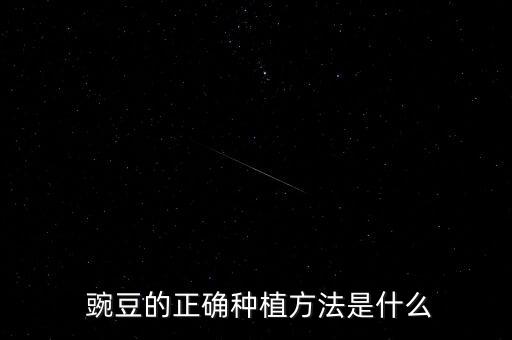 豌豆有薊馬打什么農(nóng)藥