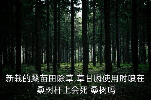 桑樹要用什么農藥,桑樹用什么農藥對蠶沒有傷害