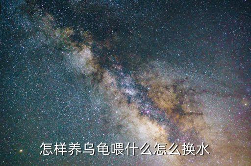 怎樣養烏龜喂什么怎么換水