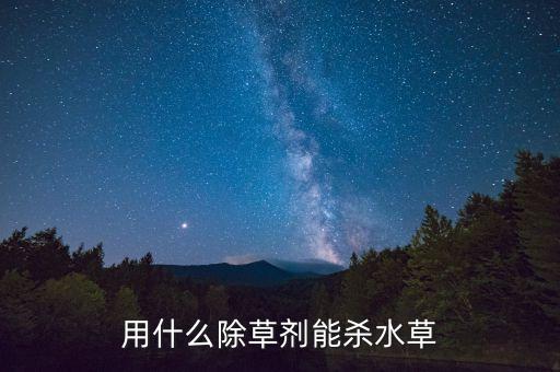 噴灑什么可以去雜草的農藥