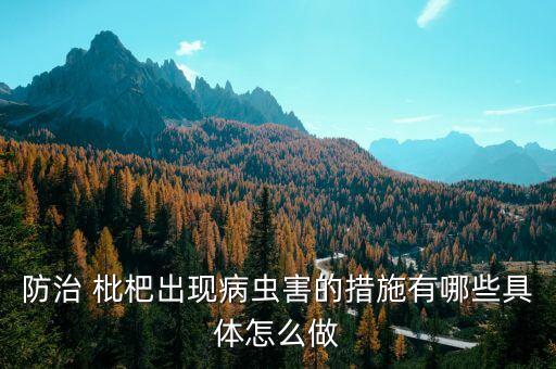 枇杷用什么農藥座果,枇杷現在打什么農藥