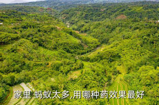 螞蟻噴什么農藥好用,什么農藥殺螞蟻最有效