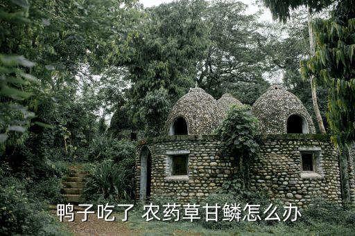 什么農藥能藥死鴨子不死,用什么農藥能把大樹藥死