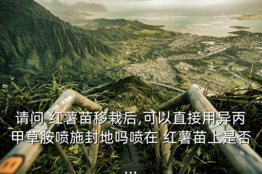 請問 紅薯苗移栽后,可以直接用異丙甲草胺噴施封地嗎噴在 紅薯苗上是否...