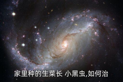 家里種的生菜長 小黑蟲,如何治