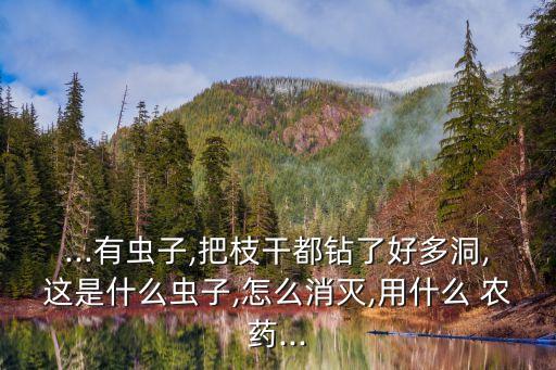 ...有蟲子,把枝干都鉆了好多洞,這是什么蟲子,怎么消滅,用什么 農藥...