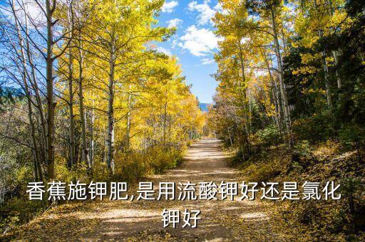  香蕉施鉀肥,是用流酸鉀好還是氯化鉀好