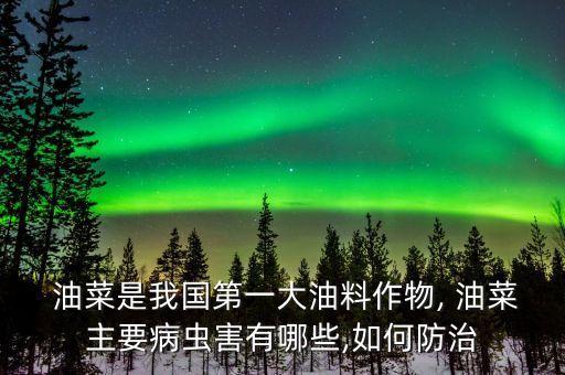  油菜是我國(guó)第一大油料作物, 油菜主要病蟲害有哪些,如何防治