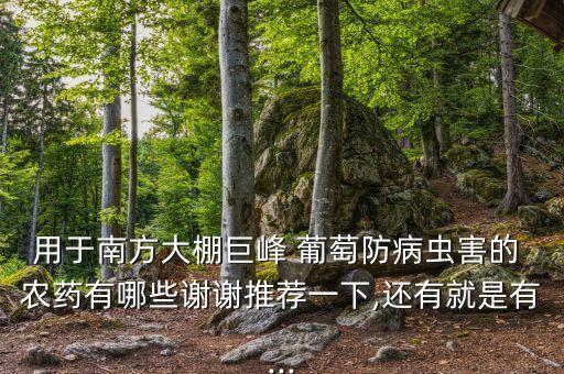 防止葡萄裂果用什么農藥,溫克葡萄防止裂果技術