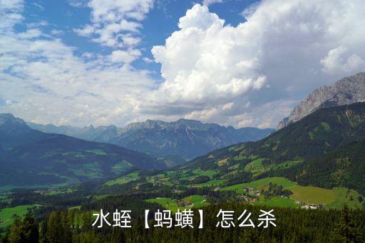  水蛭【螞蟥】怎么殺