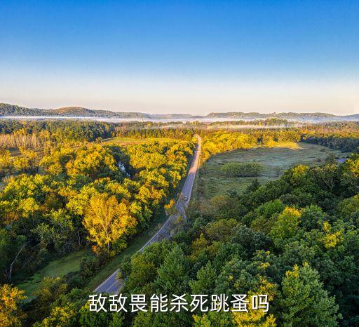 打什么農藥打到死跳騷,打農藥一般什么時間打比較好
