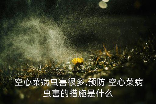 空心菜可以噴什么農藥,噴什么藥讓空心菜長得快