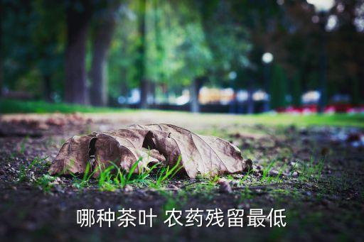 白茶不能用什么農藥,什么人不能飲白茶