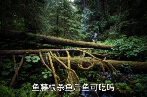 河里藥魚用什么農藥,用什么藥放到河里魚才會暈