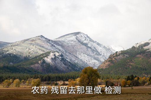 什么機構農藥殘留檢測,蔬菜里的農藥殘留用什么檢測