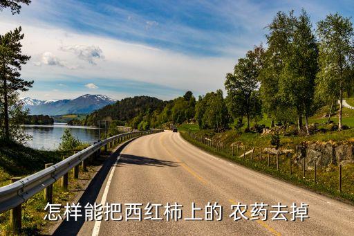 怎樣能把西紅柿上的 農(nóng)藥去掉