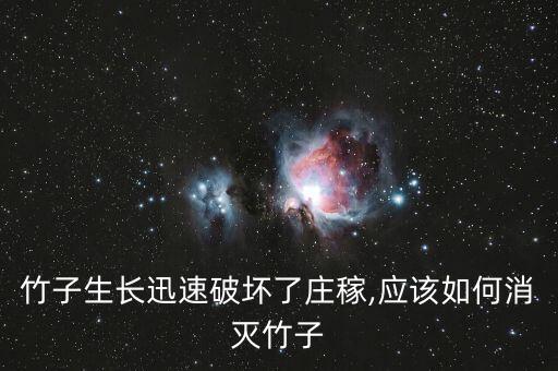 竹干最怕什么農(nóng)藥