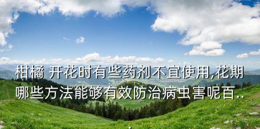 柑橘 開花時有些藥劑不宜使用,花期哪些方法能夠有效防治病蟲害呢百...