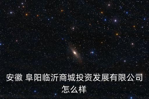 安徽 阜陽臨沂商城投資發展有限公司怎么樣