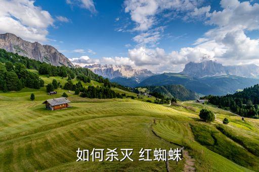 如何殺滅 紅蜘蛛
