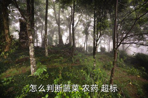 怎么判斷蔬菜 農藥 超標