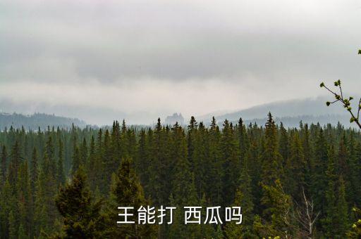 王能打 西瓜嗎