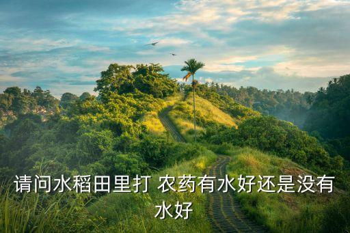 農藥中間的水是什么,1605農藥是什么藥