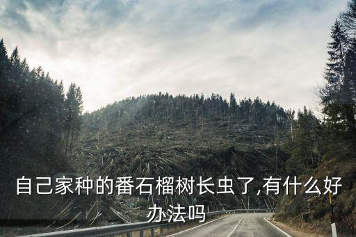 自己家種的番石榴樹長蟲了,有什么好辦法嗎
