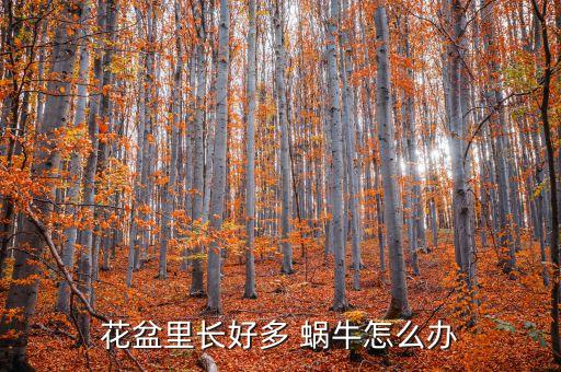 蝸牛田螺用什么農(nóng)藥,蝸牛和田螺有什么關(guān)系