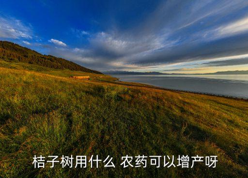  桔子樹用什么 農藥可以增產呀