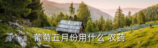 葡萄用什么泡可以去農藥嗎,葡萄現在噴什么農藥好使
