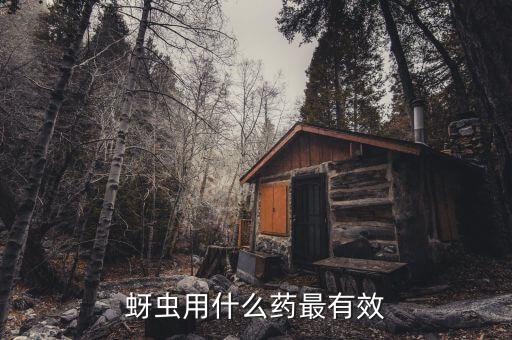 什么農(nóng)藥治牙蟲,蔬菜蚜蟲用什么農(nóng)藥殺滅