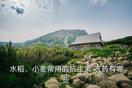  水稻、小麥常用的抗生素 農藥有哪些