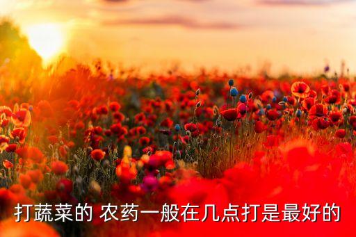 打蔬菜的 農(nóng)藥一般在幾點(diǎn)打是最好的