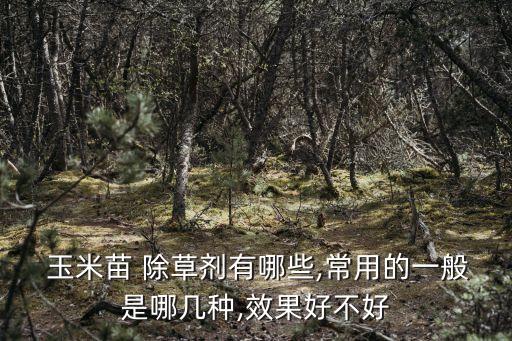 玉米除草噴施什么農(nóng)藥好
