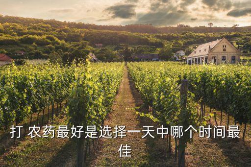 打 農藥最好是選擇一天中哪個時間最佳