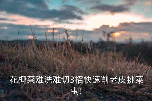  花椰菜難洗難切3招快速削老皮挑菜蟲!