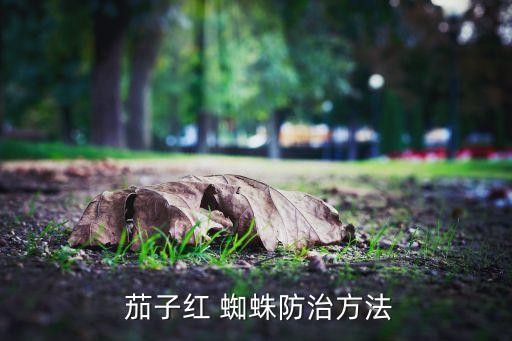  茄子紅 蜘蛛防治方法
