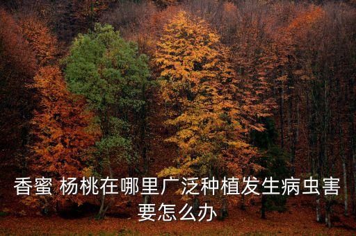 楊桃真的不打農(nóng)藥嗎為什么
