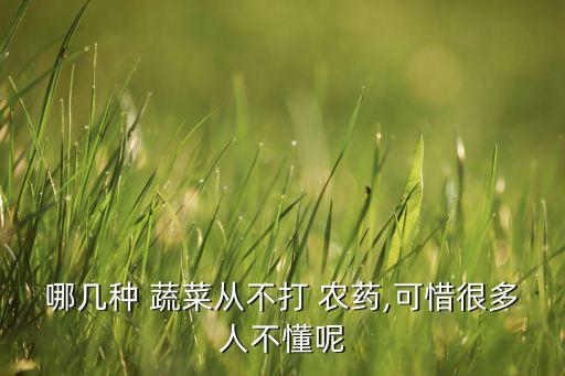 哪幾種 蔬菜從不打 農藥,可惜很多人不懂呢