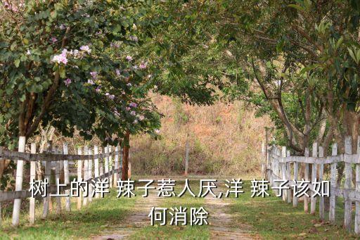 樹上的洋 辣子惹人厭,洋 辣子該如何消除