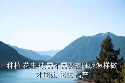 種植 花生時(shí),需不需要控旺呢怎樣做才能讓 花生 高產(chǎn)